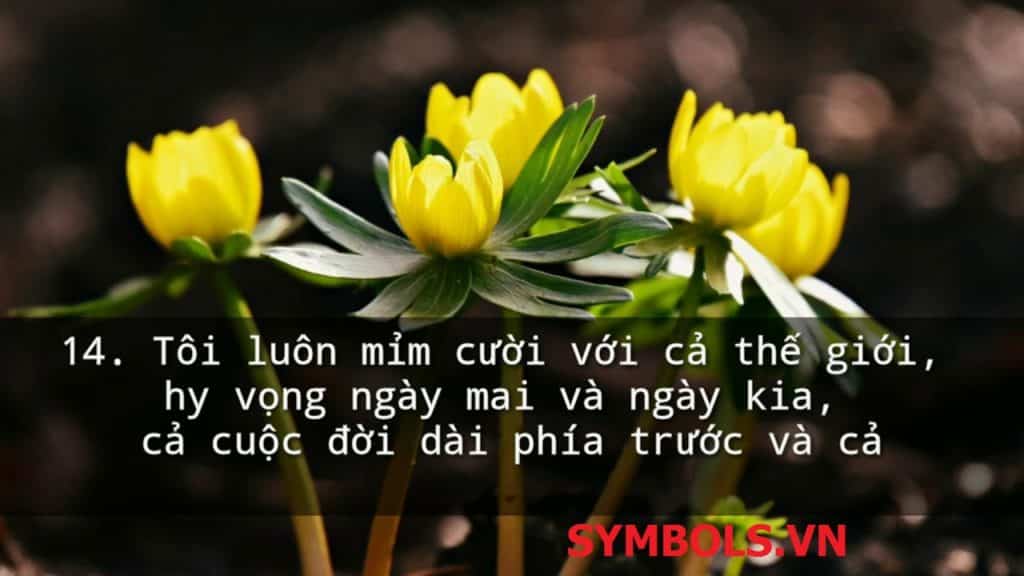 Hãy luôn mỉm cười dù sóng gió ập tới, mọi chuyện rồi sẽ ổn