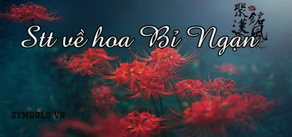 Stt Về Hoa Bỉ Ngạn Hay Nhất ❤️ 1001 Cap Cho Hoa Tình Yêu