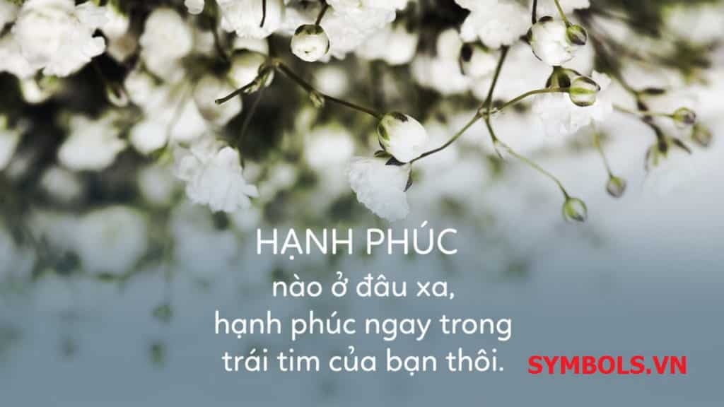 Tus tình yêu ý nghĩa giúp bạn nhận ra rằng mình không thể sống nếu thiếu tình yêu