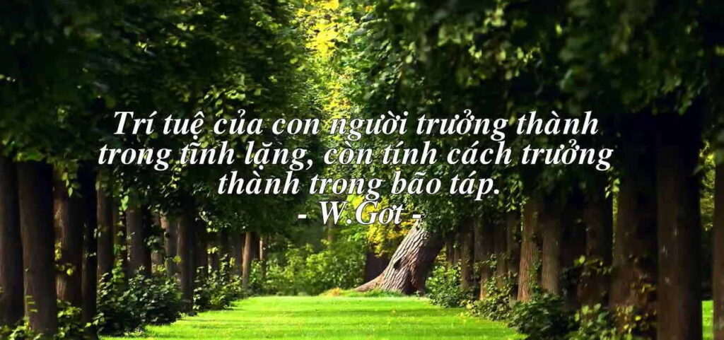 Cảm nhận về xã hội và cuộc đời qua danh ngôn cuộc sống