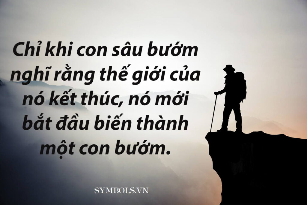 Những câu nói hay về cuộc sống đầy sâu sắc và triết lý