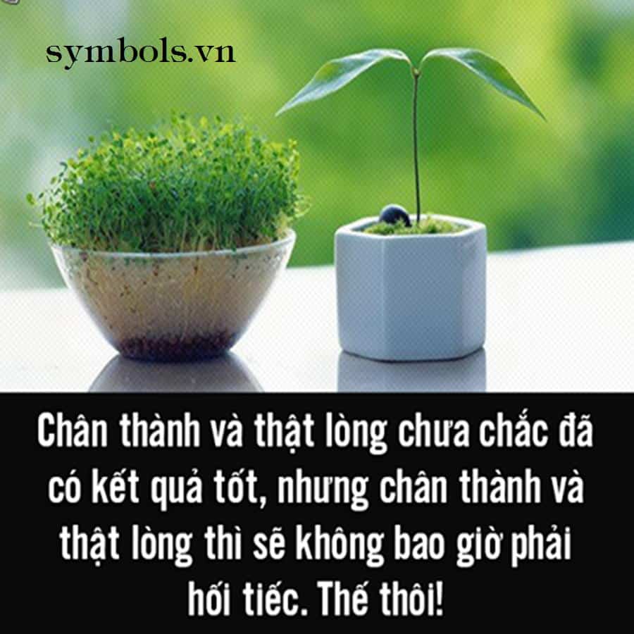 Stt chân thật ý nghĩa