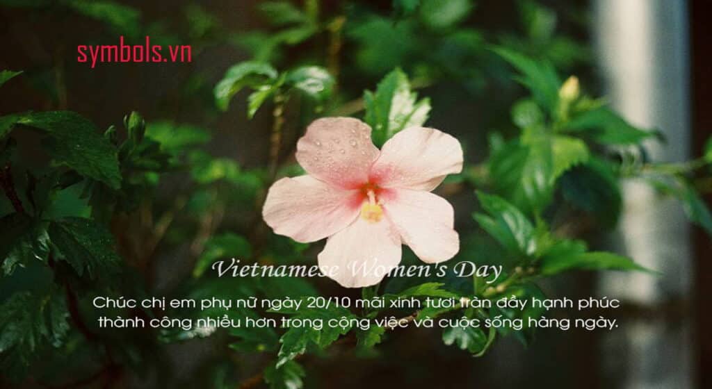 Cap 20.10 dành tặng hội chị em ngày Phụ nữ Việt Nam