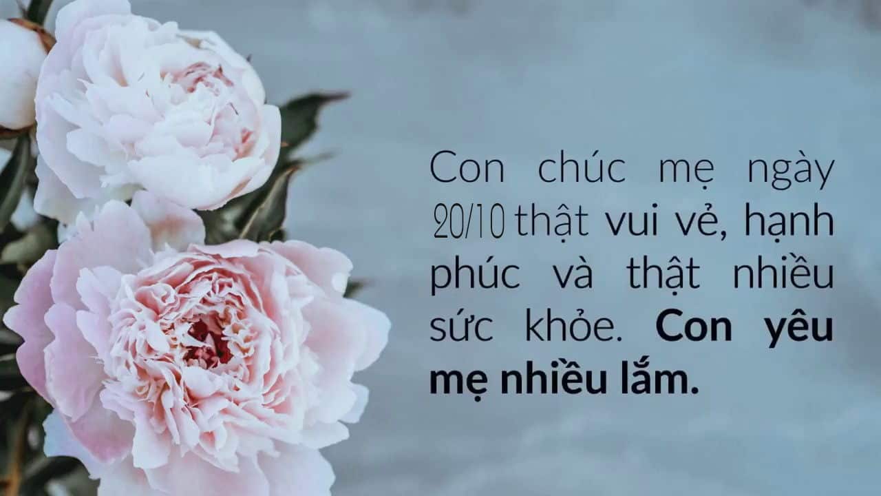 125 Lời Chúc 20 10 Cho Mẹ Ngắn Gọn Hay Ý Nghĩa Nhất 2024