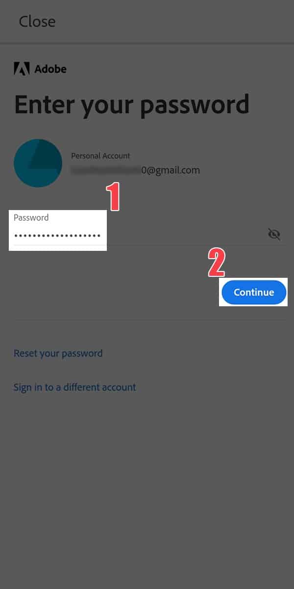 Điền Password sau đó chọn Continue.
