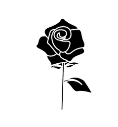 Biểu tượng hoa hồng đen