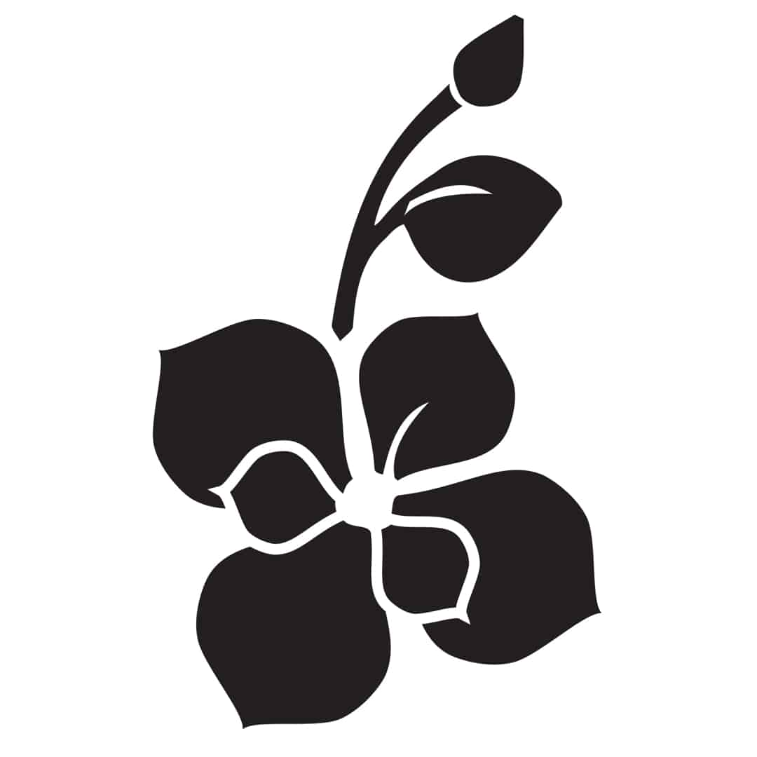 Biểu tượng hoa lan đen trắng