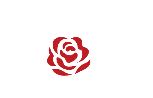 Giới thiệu mẫu icon hoa hồng dại