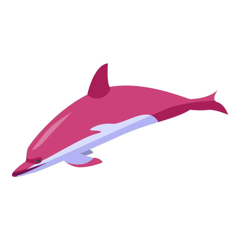 Gợi ý mẫu biểu tượng chú cá heo hồng nổi bật