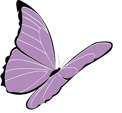 Icon bướm tím thu hút