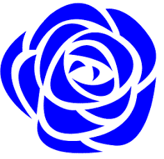Icon hoa hồng xanh ấn tượng