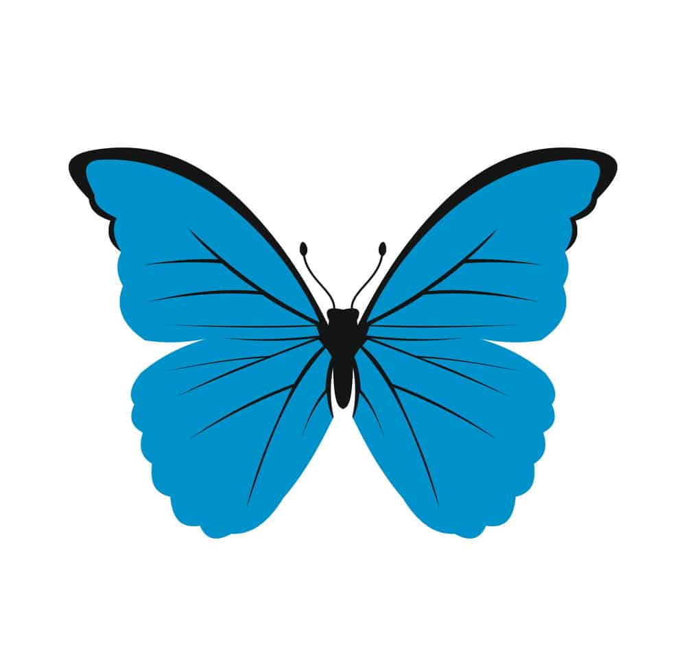 Mẫu biểu tượng con bướm xanh đặc sắc