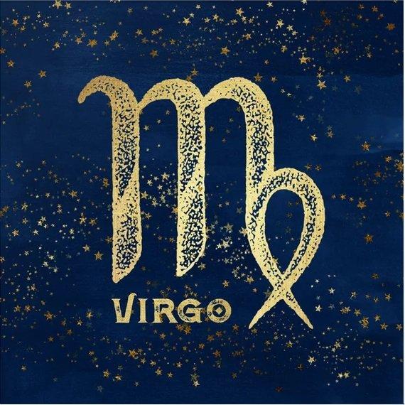 Virgo cute cute virgo zodiac astrology horoscope signs  Xử nữ Nhật  ký nghệ thuật Hình vui