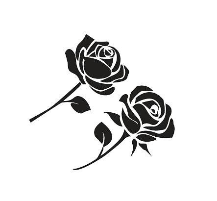 Tặng bạn mẫu hoa hồng đen đẹp