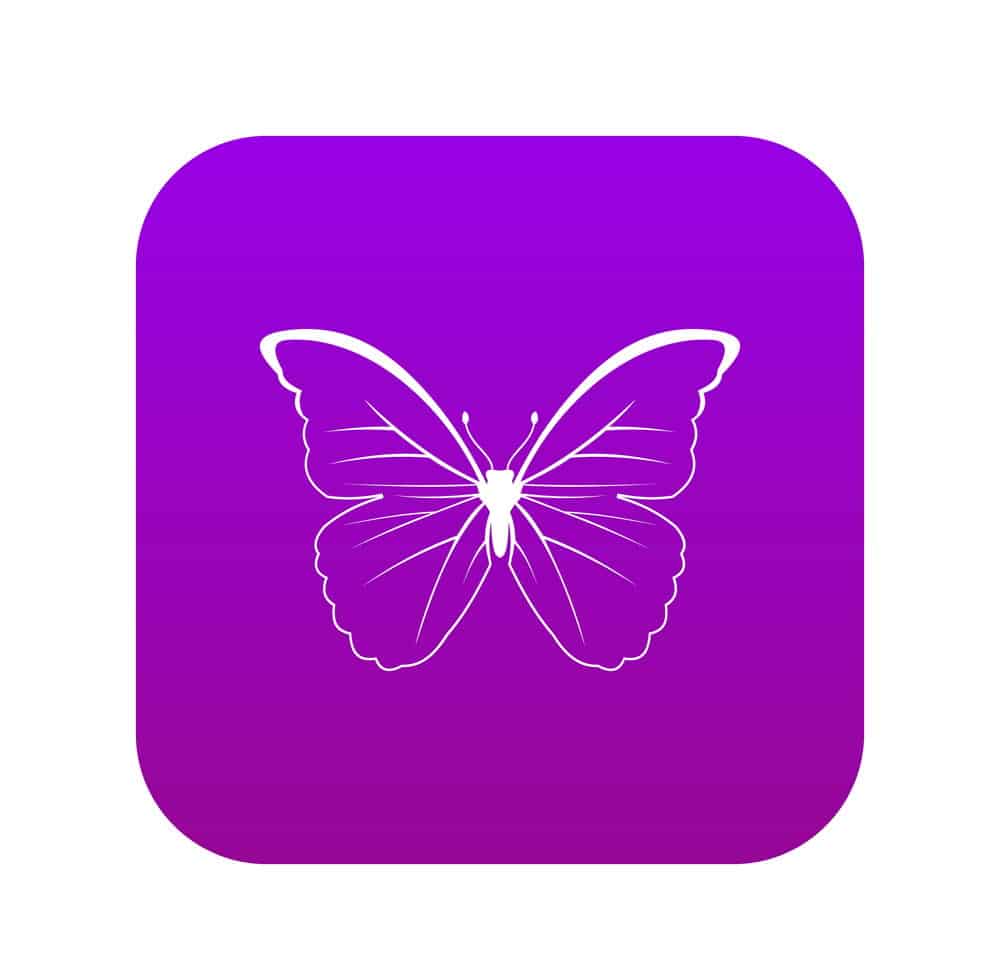 Tham khảo icon bướm tím