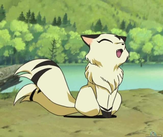Cập nhật thêm cho bạn đọc bộ Hình Anime động vật cực cute
