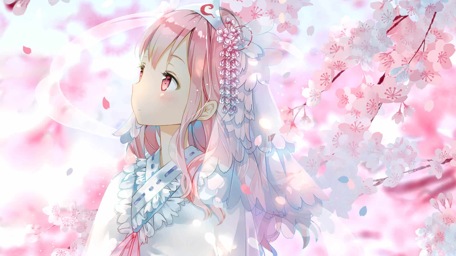 Chia sẻ Hình ảnh nền Anime cô nàng xinh rất đẹp mặt mũi hoa anh đào