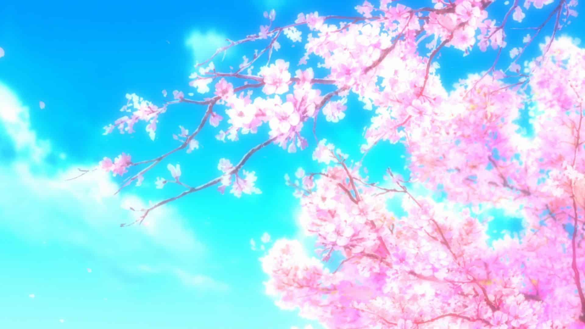 Chia sẻ độc giả cỗ Hình ảnh Anime hoa anh bới tươi tắn sáng