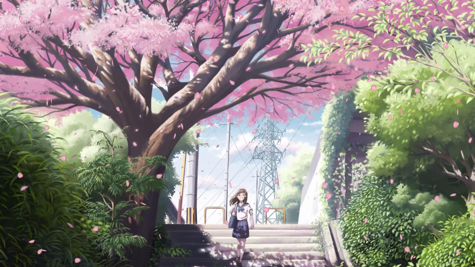 Hình Anime Bình Yên bên dưới cây hoa đào