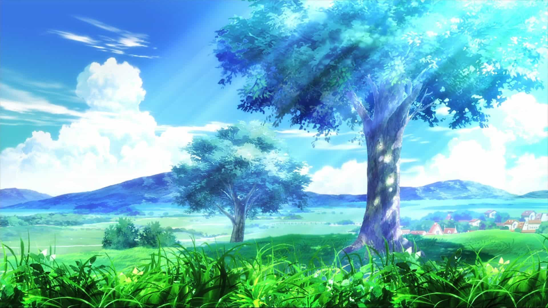 Hình Anime Bình Yên thân thiện cánh đồng xanh lơ ngắt