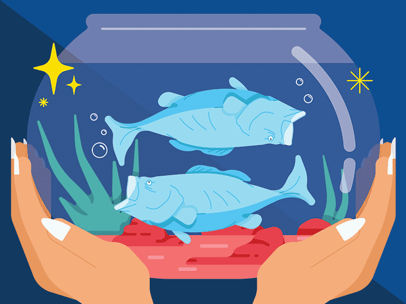 Hình Anime cung Song Ngư 2 chú cá trong chậu