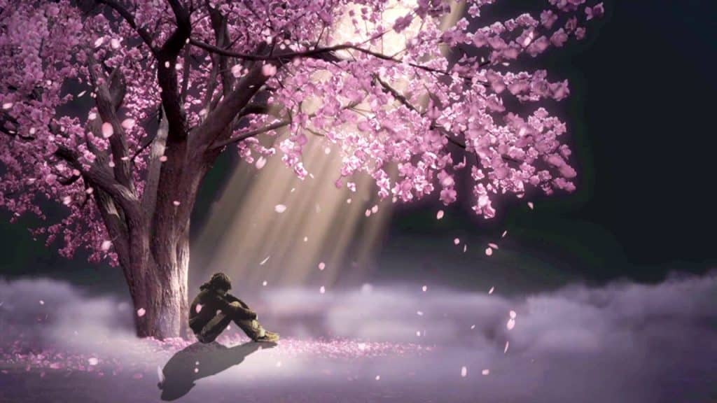 Hình Hoa Anh Đào Anime ngồi 1 mình bên dưới gốc cây