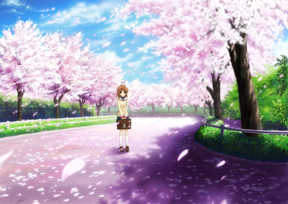 Tải Ảnh nền Anime hoa anh đào rơi tuyệt đẹp