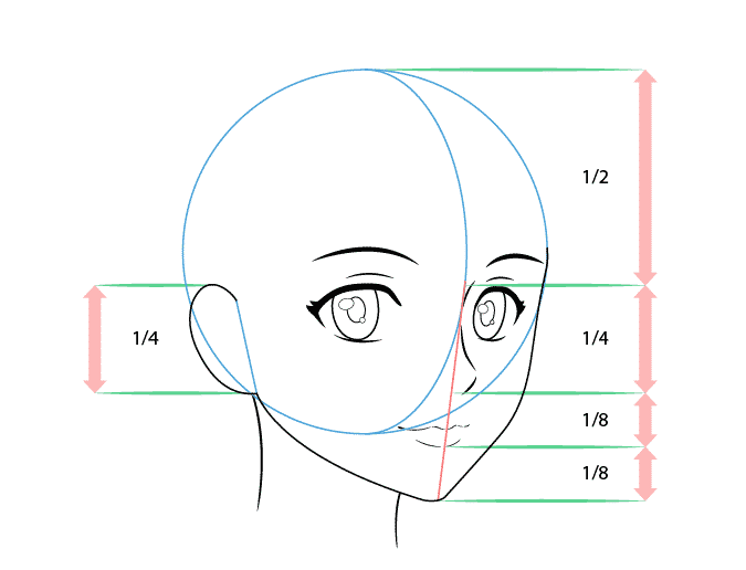 Học vẽ cách chia tỉ lệ vẽ mặt người anime chuyên nghiệp từ cơ bản ...