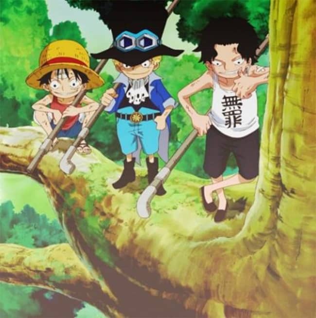 Ảnh 3 Anh Em Luffy Ngầu đáng yêu cute