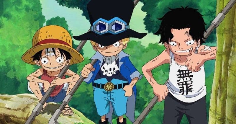 Ảnh 3 Anh Em Luffy Ngầu dễ thước lúc nhỏ