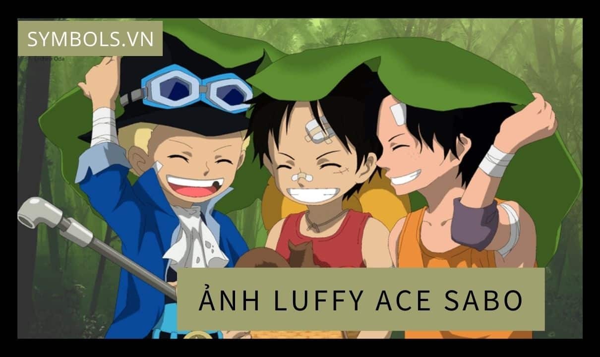 Ảnh Luffy Ace Sabo Lúc Nhỏ Đẹp ❤️ Ảnh Luffy Hồi Nhỏ Cute