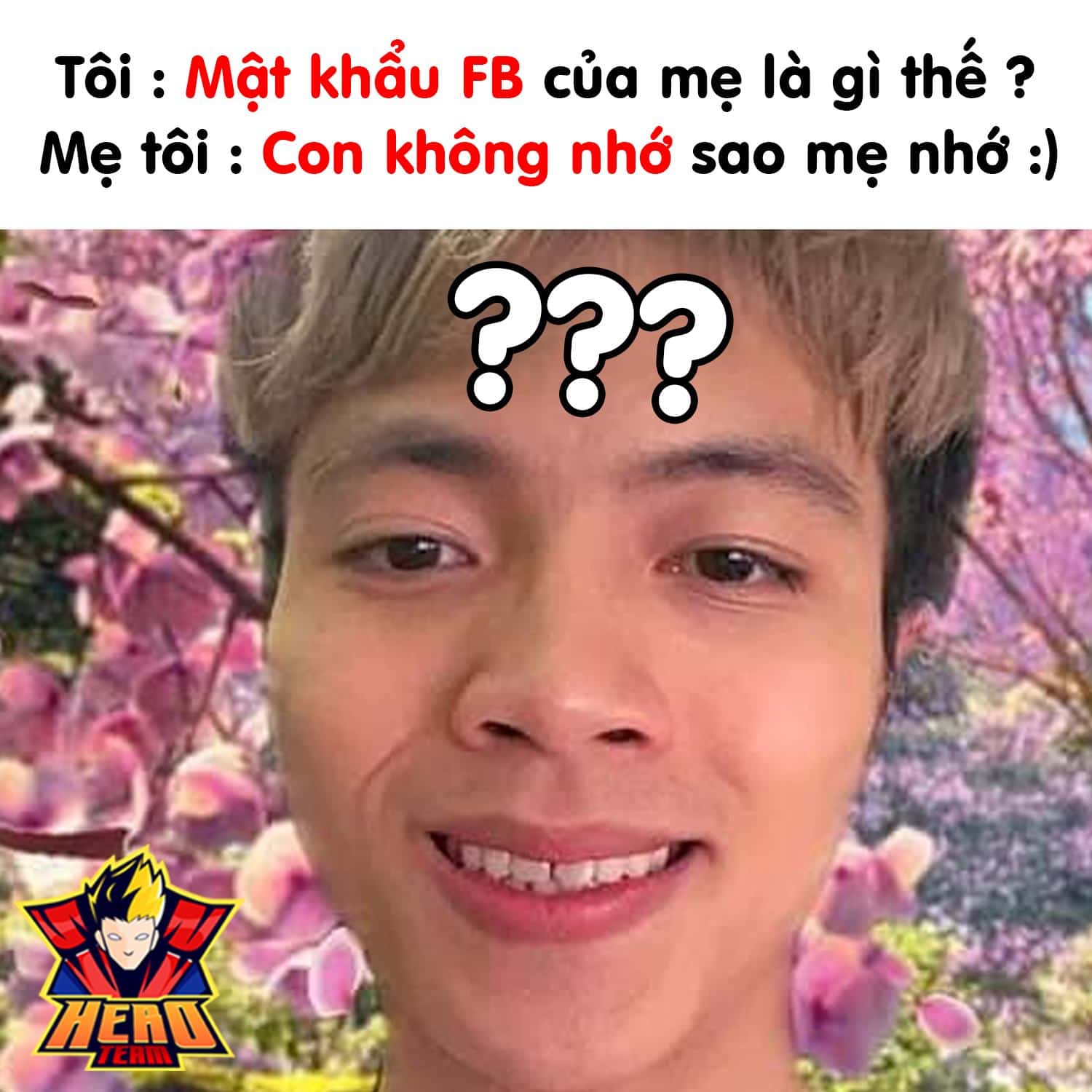 Mr Vịt giá rẻ Tháng 72023BigGo Việt Nam