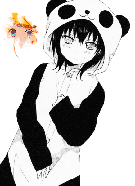 Hình Anime nữ gấu trúc xinh đẹp