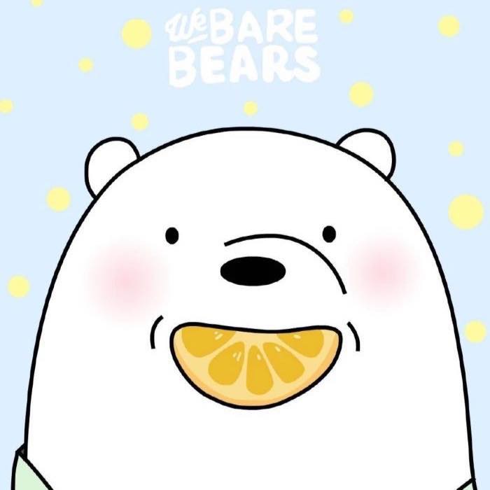 90 Hình gấu cute avatar gấu dễ thương nhìn một lần là yêu