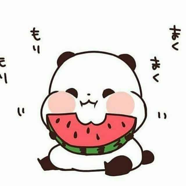 Hình Gấu Chibi Cute đang ăn dưa hấu