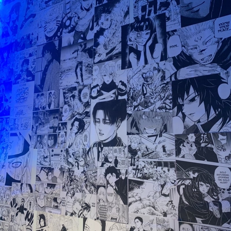 Hình Manga ấn tượng độc đáo