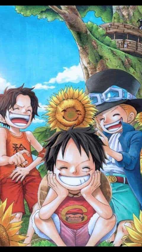 Những hình ảnh về Luffy, Ace và Sabo đầy cảm xúc sẽ khiến bạn không thể rời mắt! Cùng đón xem chuyến phiêu lưu tuyệt vời của ba anh em này trong thế giới One Piece.