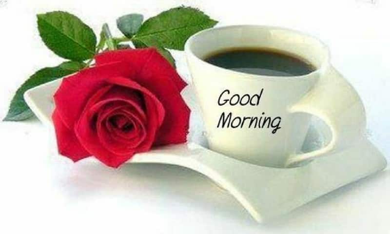 Bông hoa hồng bên ly cà phê chào ngày mới