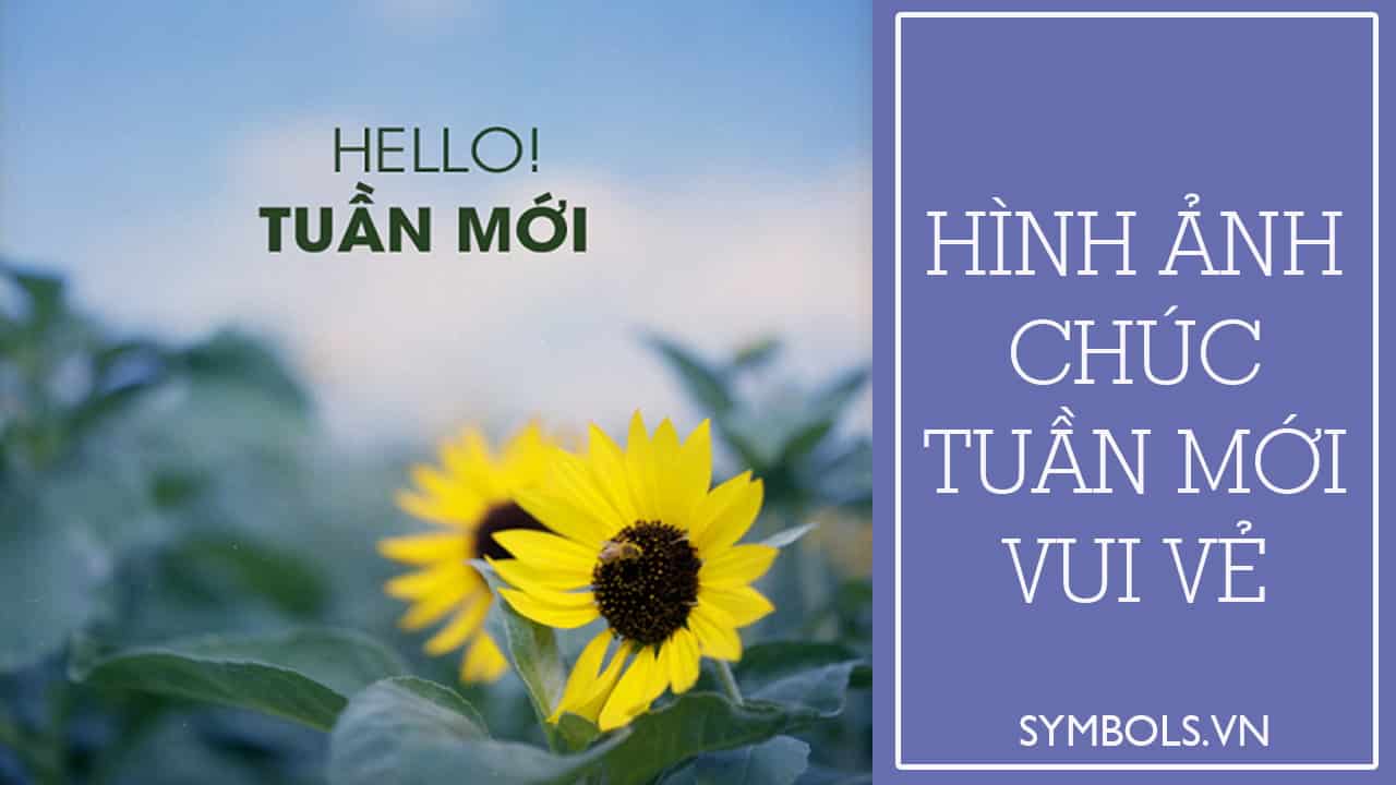 Hình Ảnh Chào Ngày Mới Thứ 3 ❤️️50 Hình Chúc Thứ Ba Vui Vẻ - Eu-Vietnam  Business Network (Evbn)