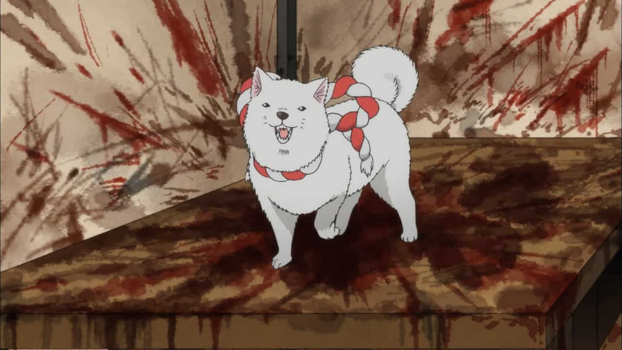 Hình Anime Chó Trắng đáng yêu