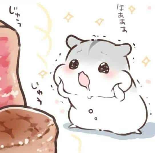 Bạn là fan của anime? Hãy xem hình ảnh để khám phá thế giới của chuột hamster chibi cute và đáng yêu trong phong cách anime mới lạ. Bạn sẽ không thể cưỡng lại được sự dễ thương này!