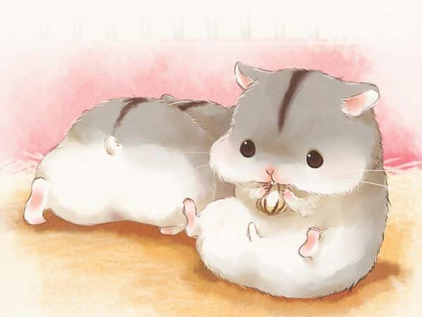 Hình Chuột Hamster Chibi Cute dễ dàng thương