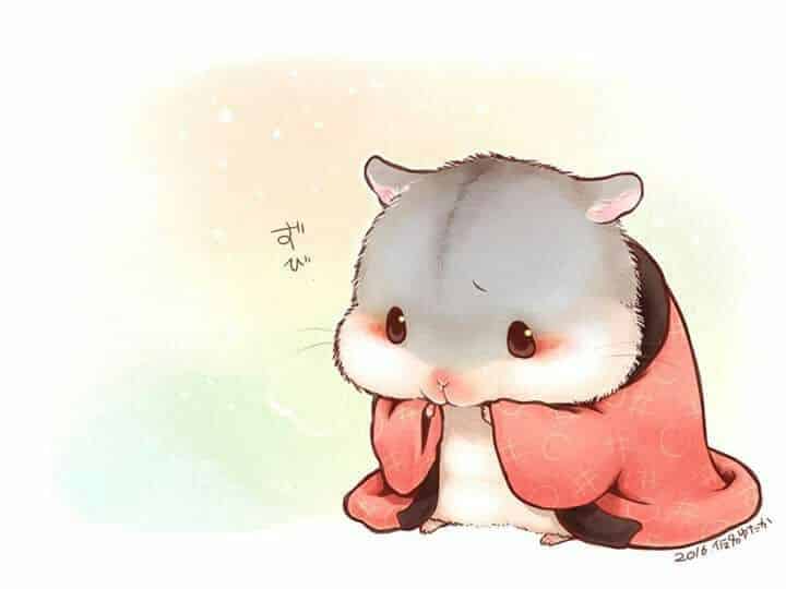 Hình Chuột Hamster Cute Anime đáng yêu