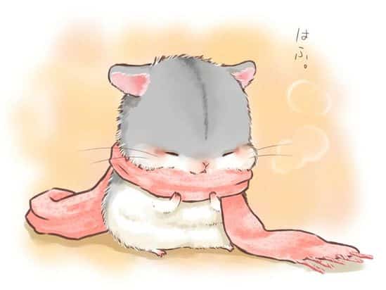 Hình Chuột Hamster Cute Anime ngộ nghĩnh