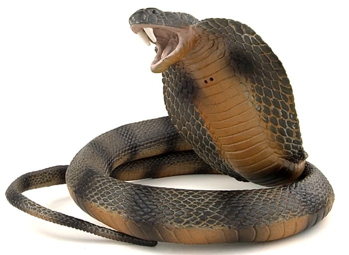 Hình ảnh Hình vẽ con rắn hổ mang với các phong cách đa dạng