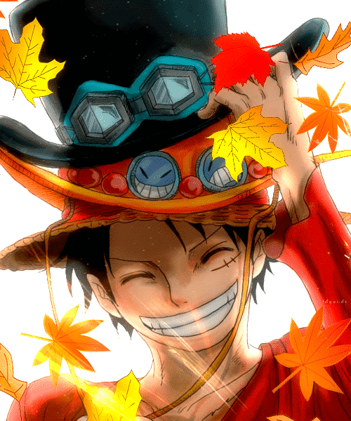 Hình Luffy cười cute dễ thương nhất