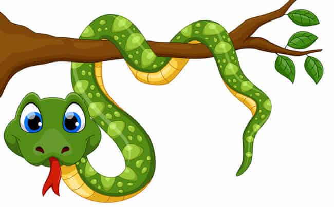 Bánh sinh nhật vẽ hình con rắn tuổi tý màu vồng siêu dễ thương tặng nữ   Bánh Kem Ngộ Nghĩnh