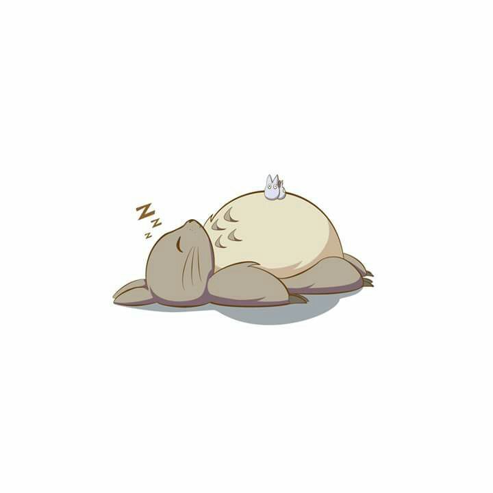 Hình Totoro ngủ khò khò