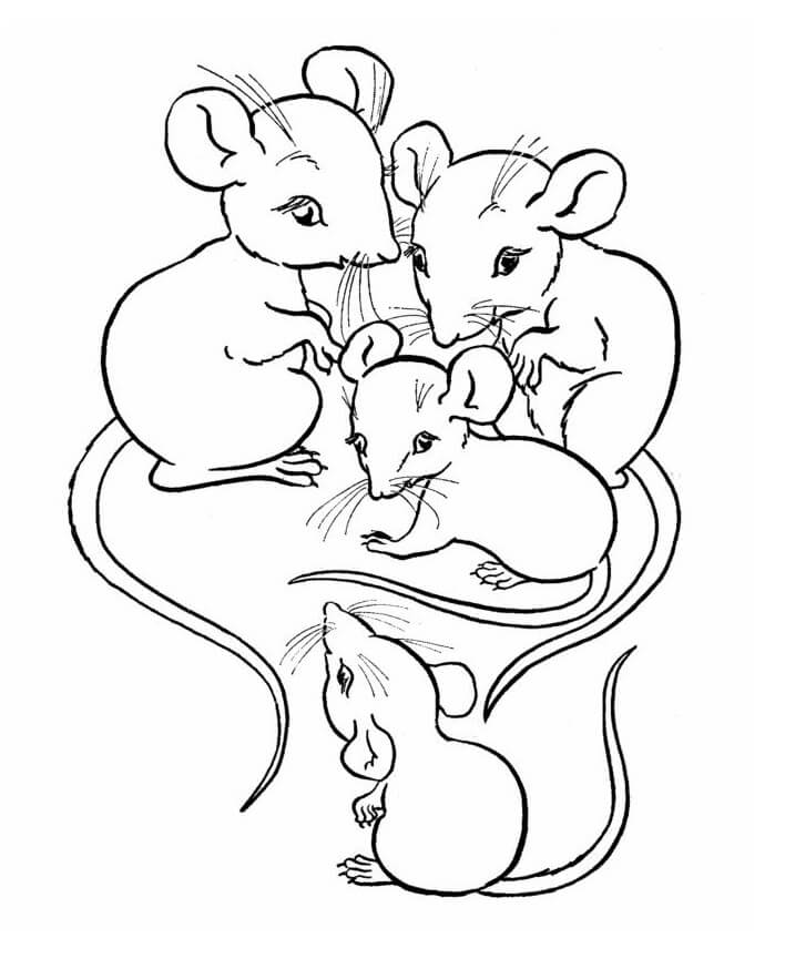 Hình Vẽ Chuột cực kỳ độc lạ