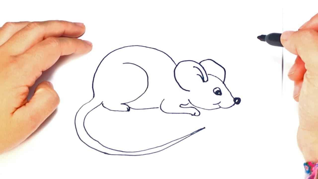 Hình Vẽ Chuột siêu độc đáo